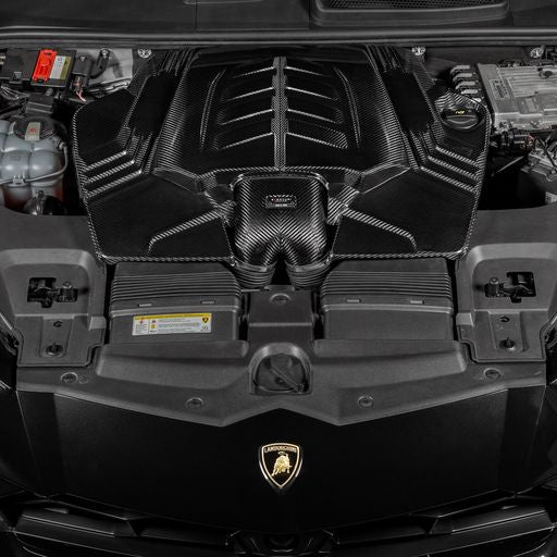 Admisión de carbono Eventuri - Audi RSQ8